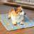 Pet Specific Cooling Mat Is Soft And Durable, Making It More Comfortable To Use In Summer-967463883
