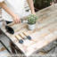 5 pièces de plantes grasses, mini outils de jardin, ciseaux de taille comme accessoires pour plantes, trousse d'outils de jardinage pour le sol des semis, plante grasse, plante d'intérieur, bonsi, cadeaux
