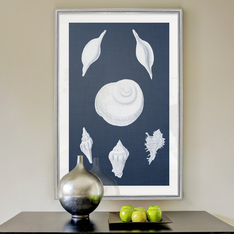« coquillages blancs iv », impression sur toile, H 22,5 po x l 30,5 po x P 1,5 po, Argent