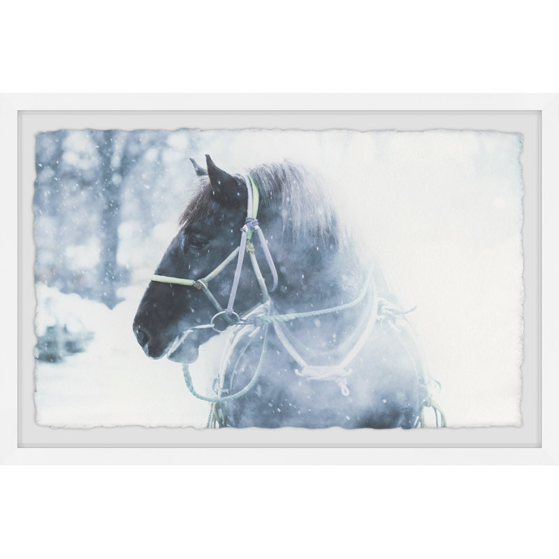 Marmont Hill - Single Picture Frame Print, 91cm H x 61cm W
