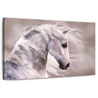 Cheval brun Brampt