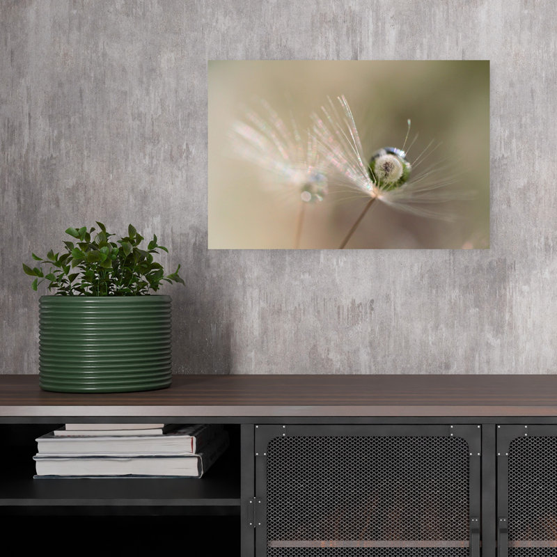Dandelion Dew Drop Abstract Delicate Ethereal Dandelion Nature Wall Art Print 1 Piece Wrapped Canvas Wall Art