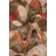 Norberta Area Rug with Non-Slip Backing