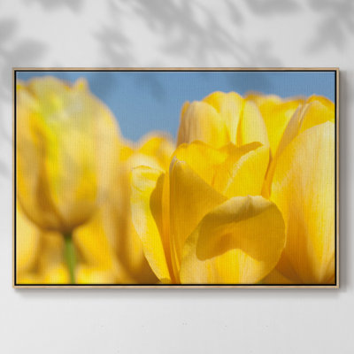 Sunshine Yellow I, reproduction d'art sur toile