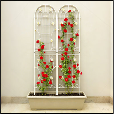 Paquet de 2 treillis de jardin en métal 86,7 po x 19,7 po antirouille pour plantes grimpantes pour l'extérieur