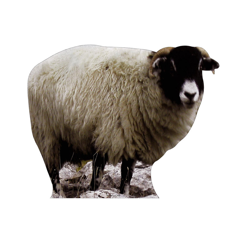 Sheep Cardboard Standup