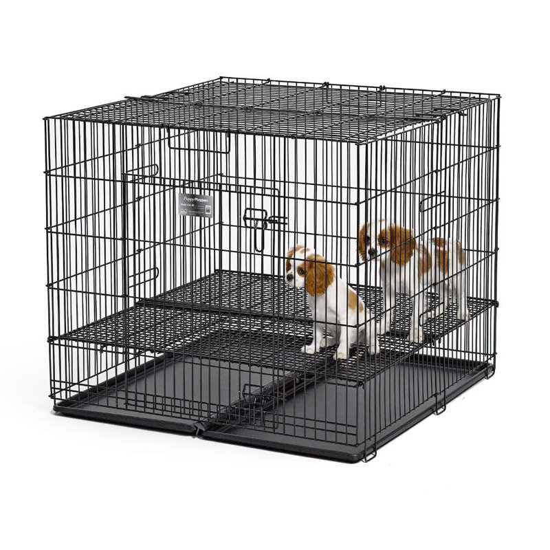 Chenil en plastique pour chiot, Petit (H 30 po x l 24 po x P 36 po), Grille d'étage de 1/2 po