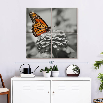 Papillon ambré