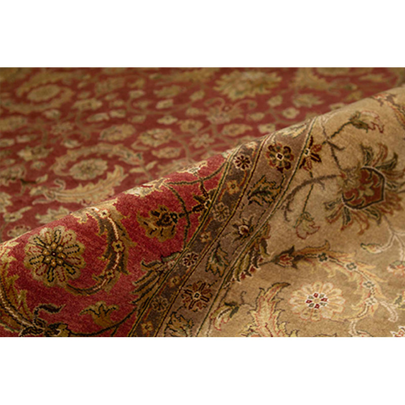 Oriental Area Rug