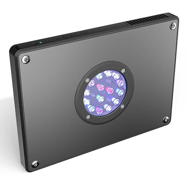 Lizeth Aquarium Accessory
