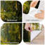 Papier peint mural autocollant « Chemin forestier ensoleillé », grands arbres et feuillage vert, décoration murale moderne pour chambre ou salon, 254 cm (L) x 366 cm (l).-518993784-518993790