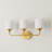 Rozenia 3 - Light Dimmable Vanity Light-262429079
