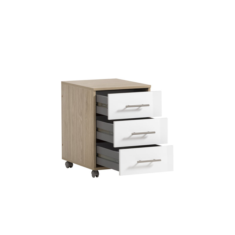 Lourdes 40.1 cm W 3 -Drawer Filing Cabinet