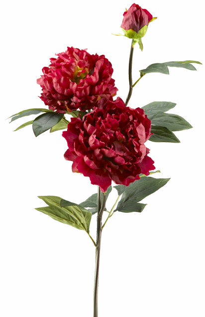 Peony Arrangement