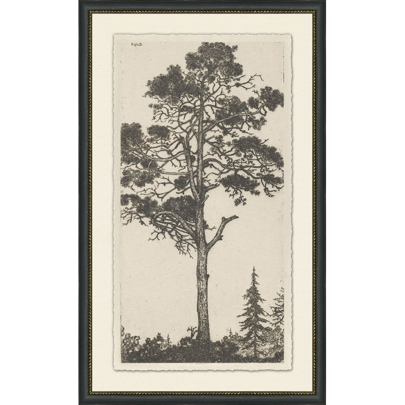 Tree Tops 1 Print