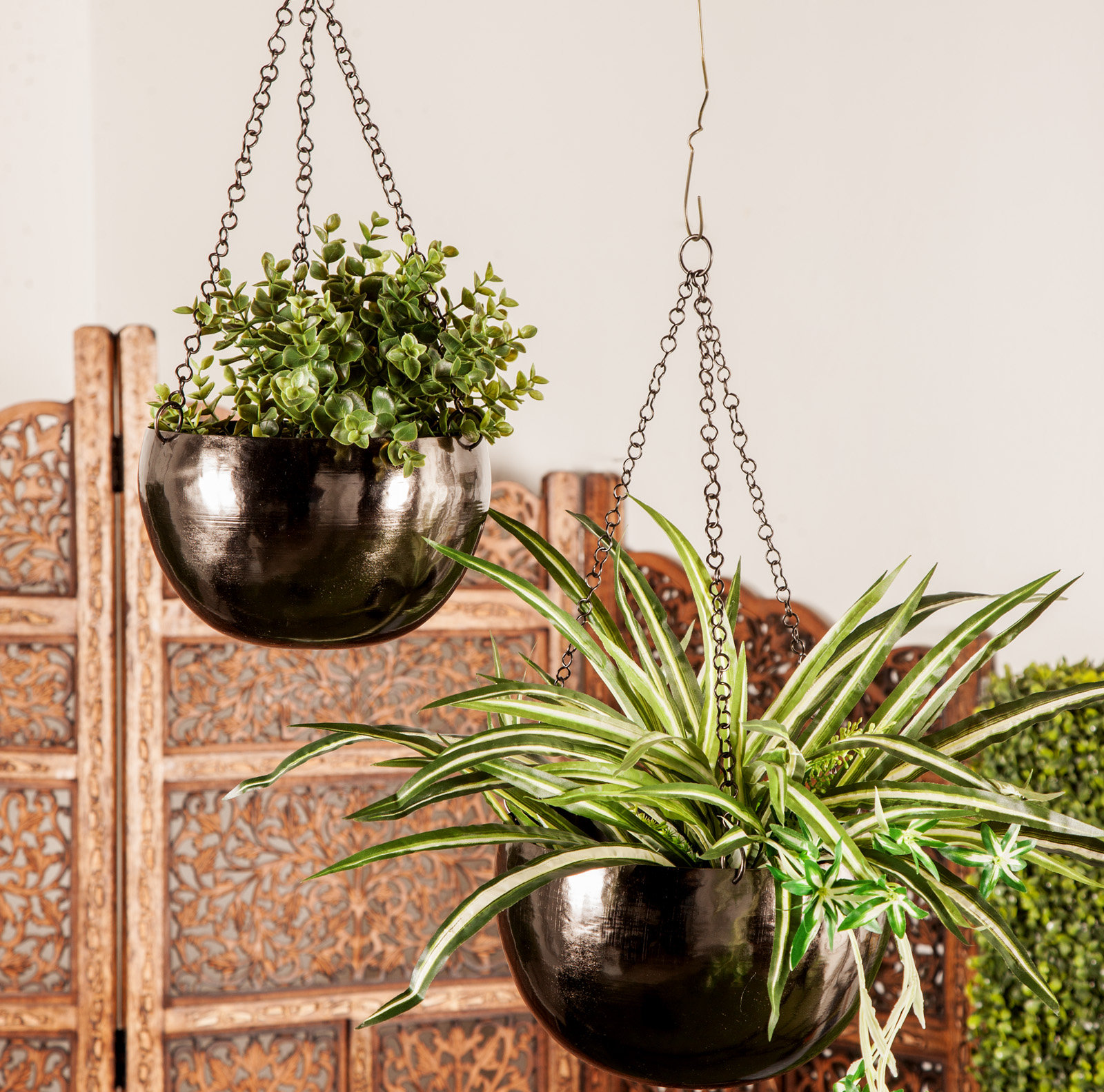 Benally 8" Hanging Planter, Black