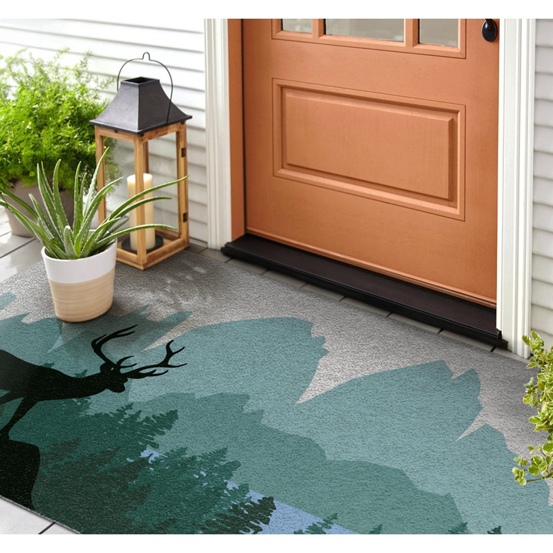 Non-Slip Outdoor Doormat