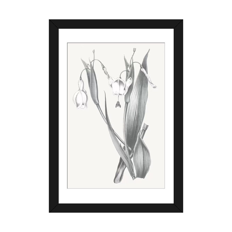 « neutral botanique ii », reproduction d’impression sur toile tendue, H 24 po x l 16 po x P 1 po, Papier d'art encadré noir