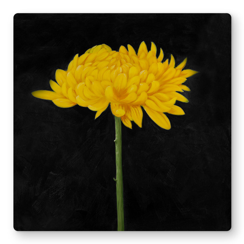 Chrysanthemum Rustic Metal Print - Bedroom Home Decor