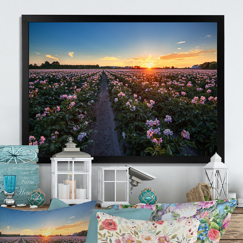 Fleurs vives au coucher du soleil - On, Impression noire sur toile encadrée, H 8 po x l 12 po x P 0,1 po