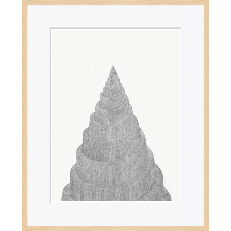 Coquille de forme II