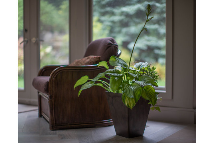 Cara Composite Pot Planter
