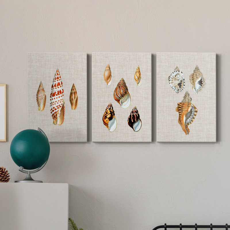 Antique Shells on Linen I - Ensemble de 3 peintures sur toile tendue, H 12 po x l 24 po x P 1 po
