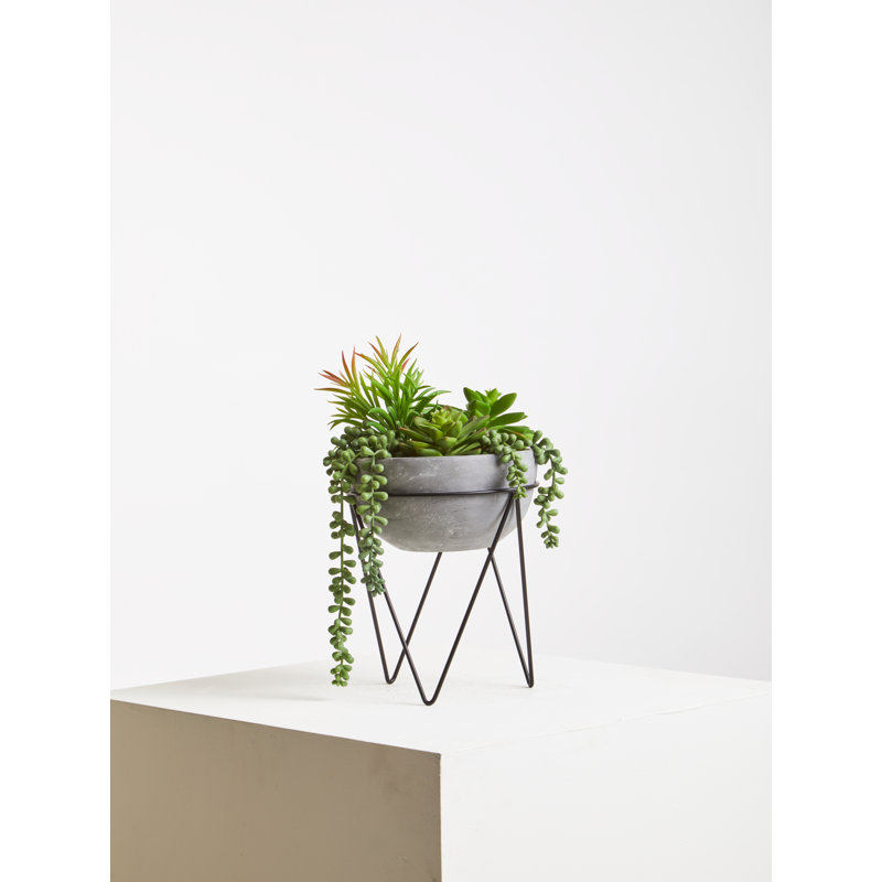 36cm Faux Succulent Plant in Stone Planter