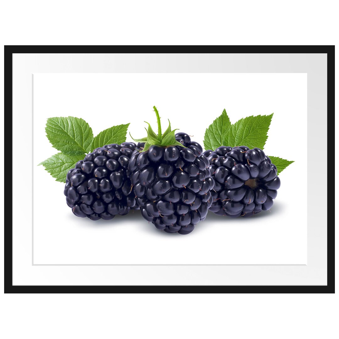 Gerahmtes Poster Leckere Brombeeren