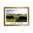 Brown Framed is unavailable