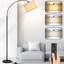 Lampe sur pied arquée 70,98 po Hicksley-1275399254