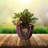 Nil   Pot Planter-680392640