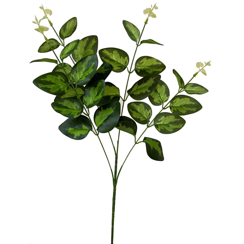 Anastasija Arrangement