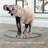 Round Tempered Glass Table Top-102516257-102516271