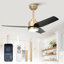 Ventilateur de plafond moderne à DEL avec hélice à intensité variable de 42 po avec appli et télécommande Vaczon-406586943