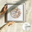 Coryell Neutral Seashell Mosaic Wall Art Set with Champagne Silver Frame - Handcrafted 2 Piece Ivory and Beige Coastal Wall Decor