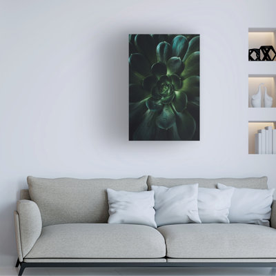 Art sur toile Tim Moss Titan