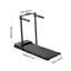 Steel, PP Sports Rack