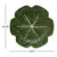 Set of 4 Cabbage Earthenware Dinner Plates