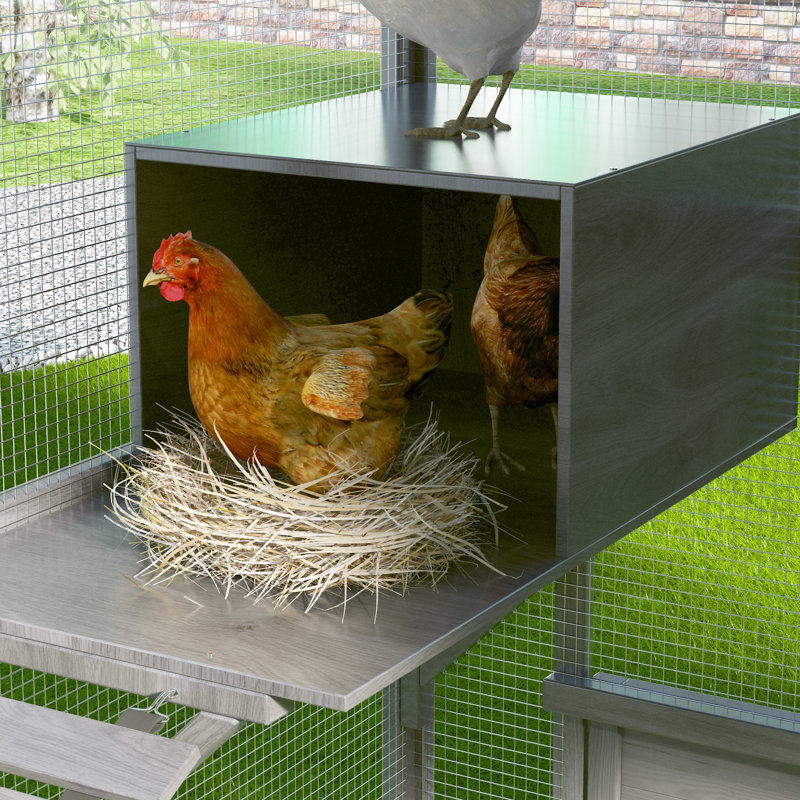 Poulet Eather, H 74 po x l 82,5 po x P 74,4 po, Gris