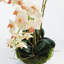 Light Pink Orchid 16" Mini Garden Drop-In