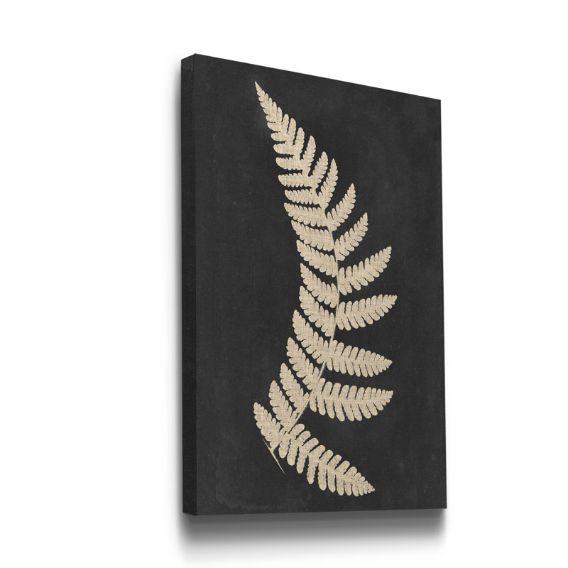 Linen Fern IV - reproduction d'art sur toile tendue, H 20 po x l 16 po x P 1 po