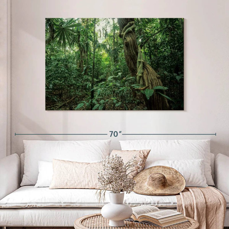 Forêt tropicale Alvord Monteverde, H 32 po x l 48 po