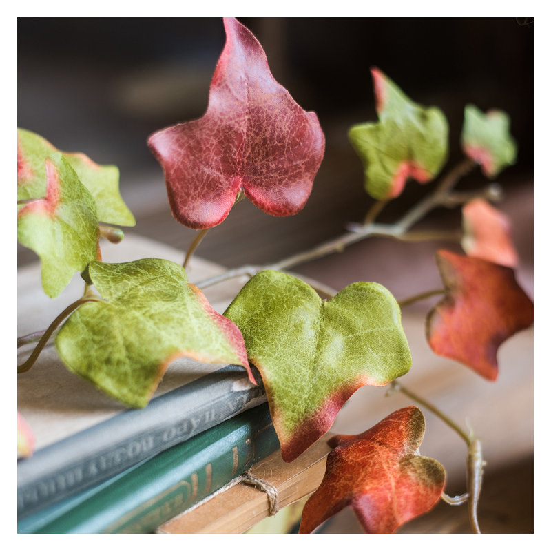 Branche de ivy rustique automne, 5 tiges
