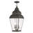 Anousha 3 - Light Outdoor Hanging Lantern-1206560883