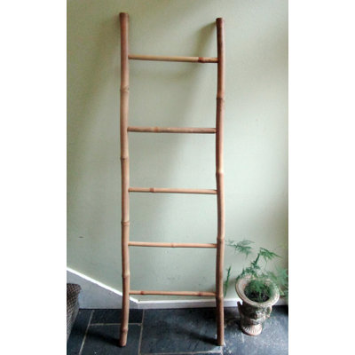 5' Bamboo Ladder, 19"W X 60"H