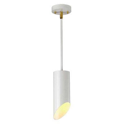 Demuth 1 - Light Cylinder Pendant