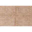 Area Rug in Light Gray