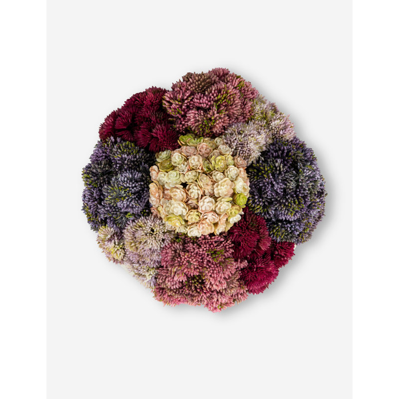 Deveraux Sedum Arrangement