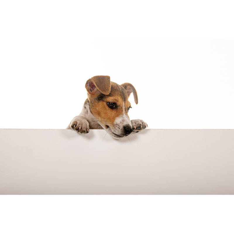 Jack Russel Dog by 101cats - No Frame Print on Canvas, 20cm H x 30cm W